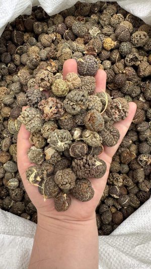 spice_762068_d27dd129_1.jpg