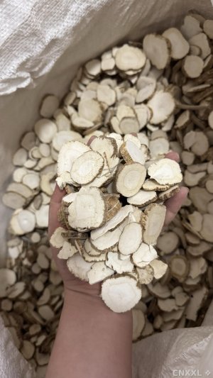 spice_787085_1e54adc9_1.jpg