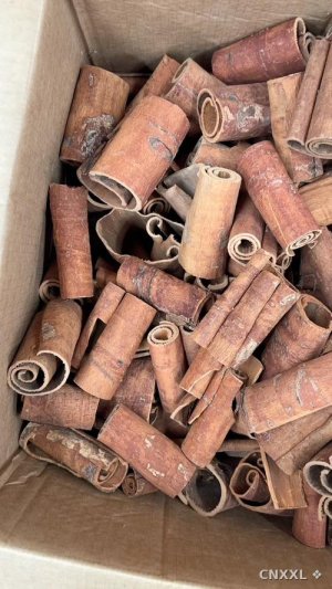spice_822142_bcfa347b_1.jpg