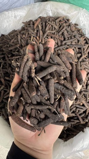 spice_8373_e03ddb08_1.jpg