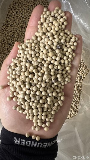 spice_8430_fd8376c6_1.jpg