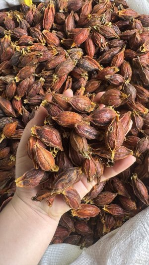 spice_857213_2bf09098_1.jpg