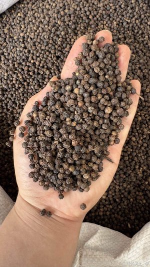 spice_8582_fdcae5d2_1.jpg