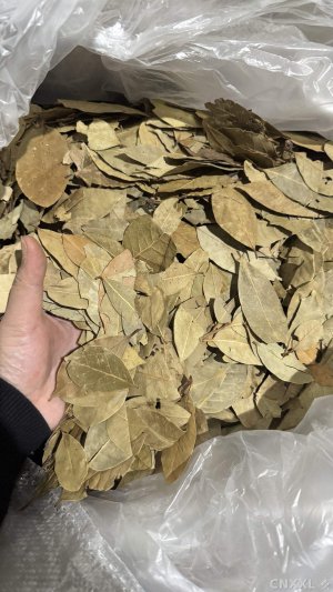 spice_8728_d83c01ba_1.jpg