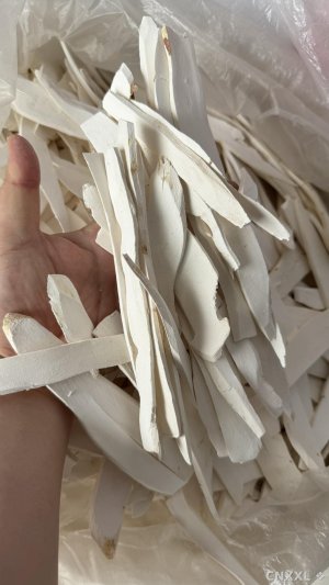 spice_8754_86f04c4d_1.jpg