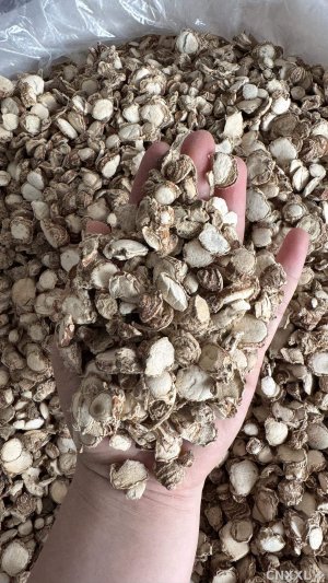 spice_8917_e9e3a70c_1.jpg