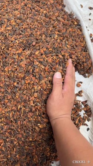 spice_8934_43fe9e52_1.jpg