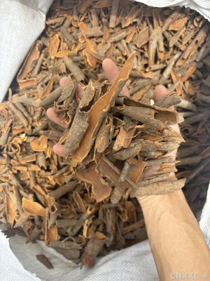 spice_8966_26ba70b0_1.jpg