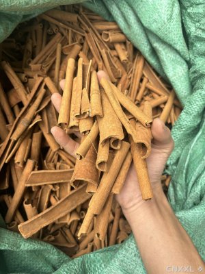 spice_8973_55fb61ac_1.jpg