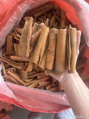 spice_8976_3de41108_1.jpg