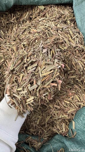 spice_9151_fa93d1c9_1.jpg