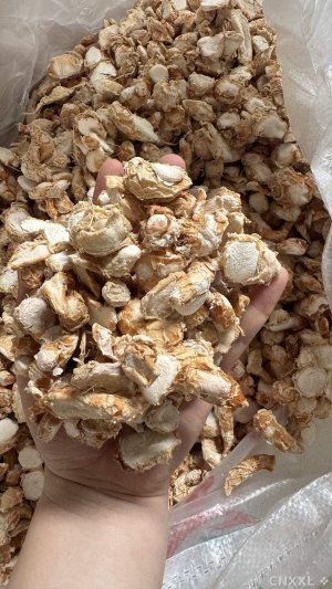 spice_9529_bcf7cae8_1.jpg