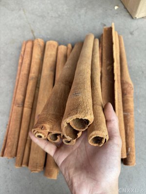 spice_9540_0bd0ddb7_1.jpg