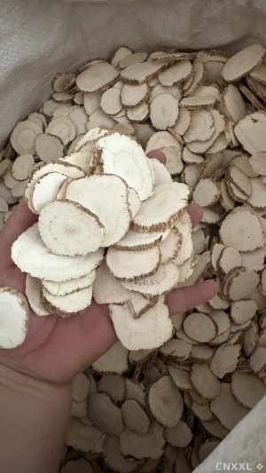 spice_10720_dbfaa655_1.jpg