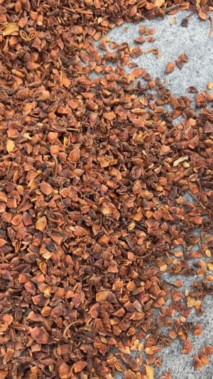 spice_2231814_a0728d46_1.jpg