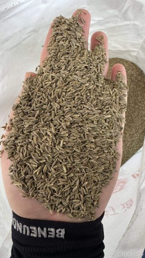 spice_2256632_f740bbae_1.jpg