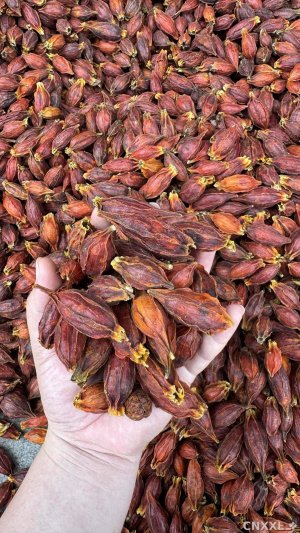 spice_22839_0735e11d_1.jpg
