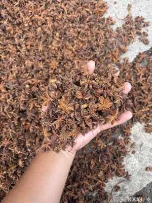 spice_2347969_0b7dcecd_1.jpg