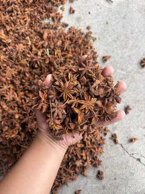spice_2353041_ece8b1ab_1.jpg