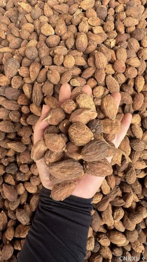 spice_2358114_ce59c1cc_1.jpg