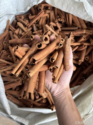 spice_2449398_87f3ab6b_1.jpg