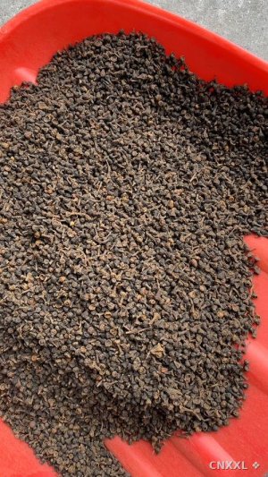 spice_2459540_6faec27c_1.jpg