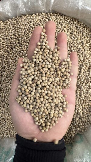 spice_25623_7b60baa7_1.jpg