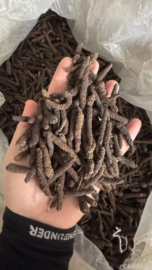 spice_26563_c672cbdf_1.jpg