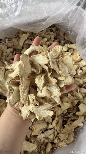 spice_2971597_af953f7d_1.jpg