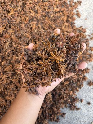 spice_3164651_43ad7e4d_1.jpg