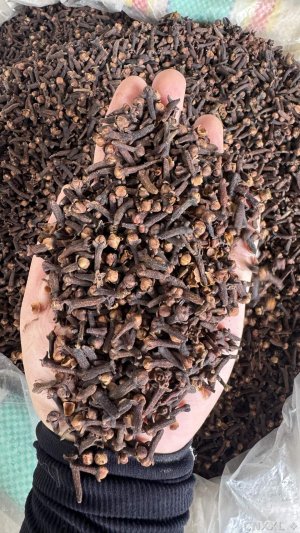 spice_3682919_8f7ea868_1.jpg