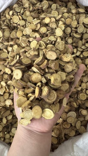 spice_4244328_d615c59a_1.jpg