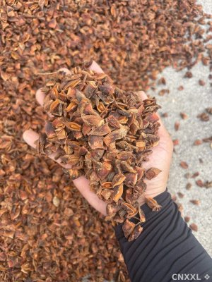 spice_4280524_6794009a_1.jpg