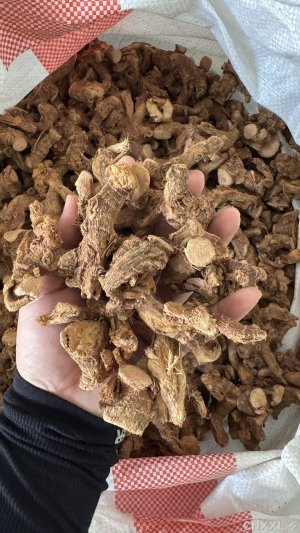 spice_4377496_2e0e943a_1.jpg