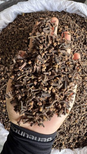 spice_4520626_9db988da_1.jpg