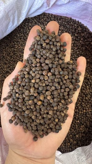 spice_4689461_9b8d684e_1.jpg