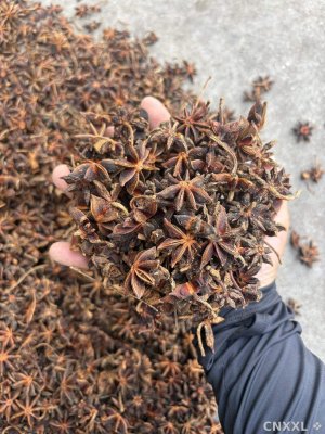 spice_4776478_f6339d04_1.jpg