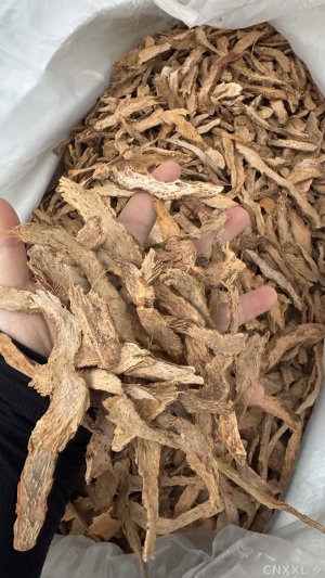 spice_4843122_a76d8ce5_1.jpg