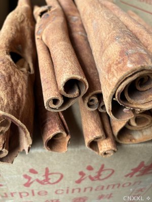 spice_5026490_5f322415_1.jpg