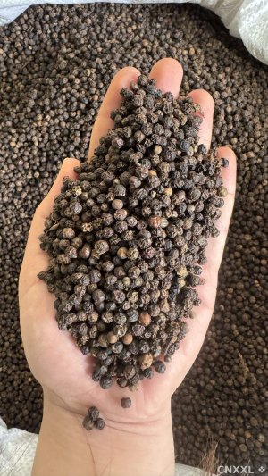 spice_5252363_2f4f16d6_1.jpg