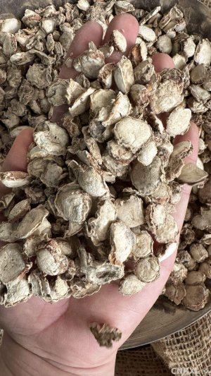 spice_25645_6e5458b0_1.jpg