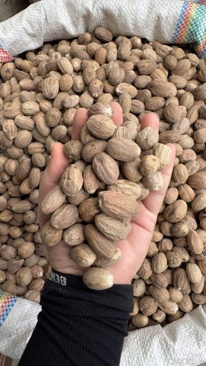 spice_5298554_a7f7c21c_1.jpg
