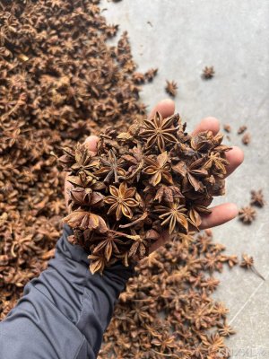 spice_5308947_eeac4dec_1.jpg