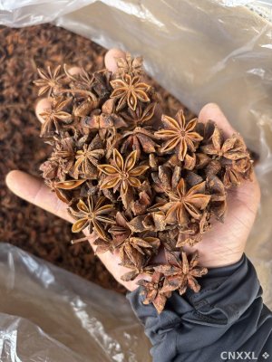 spice_5344813_ae32f4b6_1.jpg