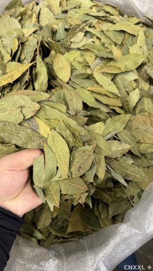spice_5403659_b430fbd5_1.jpg