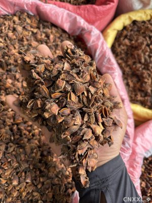 spice_5465075_be7aafb1_1.jpg