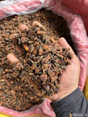spice_5475376_7a93df94_1.jpg