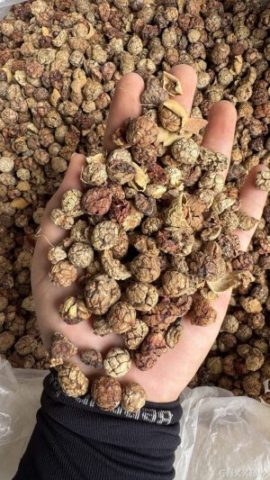spice_5614453_c3a989e7_1.jpg