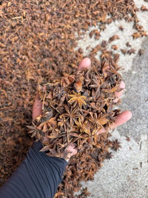 spice_5908722_2cf70952_1.jpg