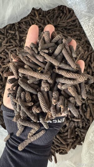 spice_5919092_6eab1e20_1.jpg